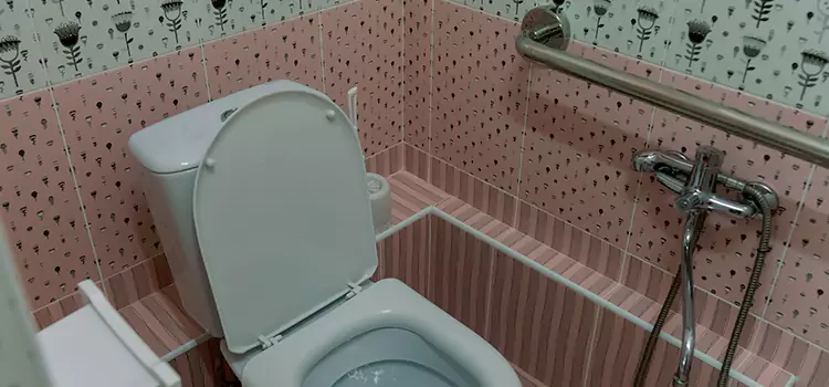 Meeting Diverse Needs With Accessible Restroom Solutions in Kirkland, WA